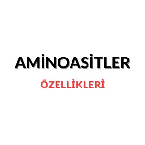 Aminoasitler logosu