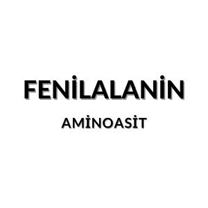 Fenilalanin molekül yapısı