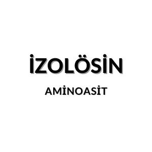 İzolösin molekül yapısı