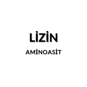 Lizin molekül yapısı
