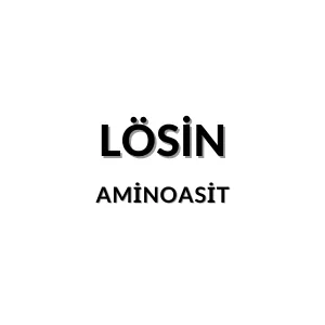 Lösin molekül yapısı