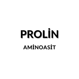 Prolin molekül yapısı