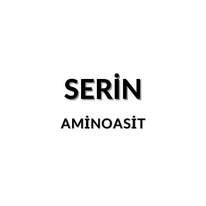 Serin molekül yapısı