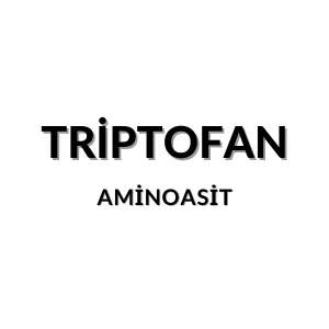 Triptofan molekül yapısı