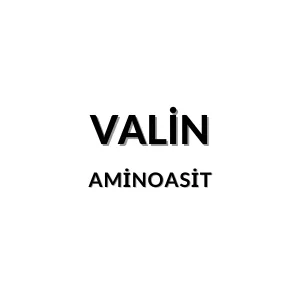 Valin molekül yapısı