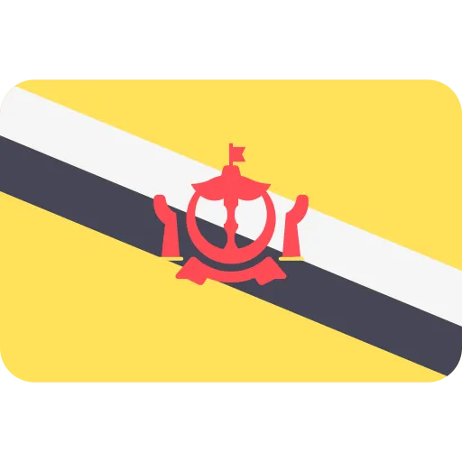 Brunei bayrağı