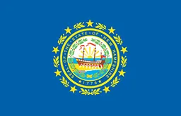 New Hampshire bayrağı