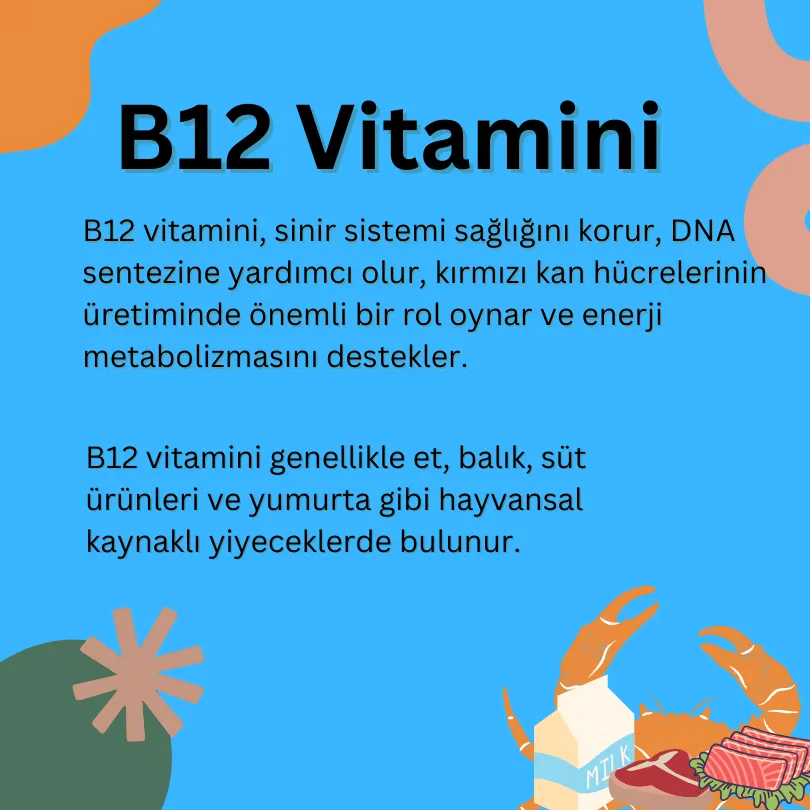 B12 Vitamini görseli