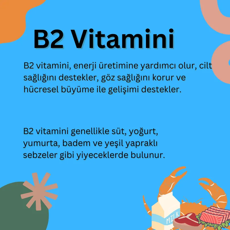 B2 Vitamini görseli