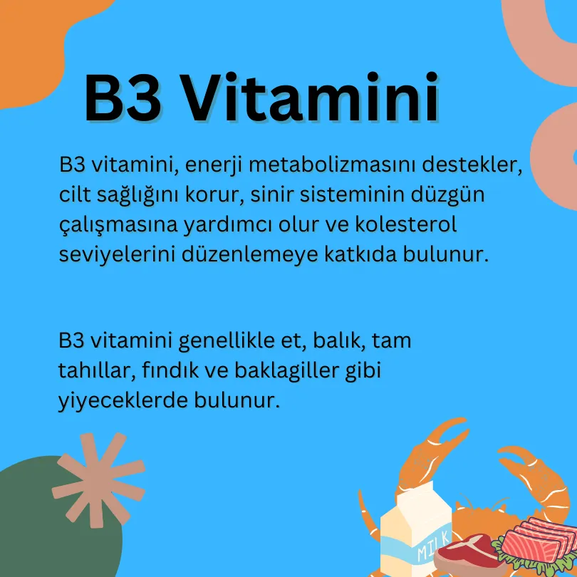 B3 Vitamini görseli