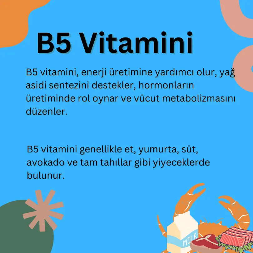 B5 Vitamini görseli