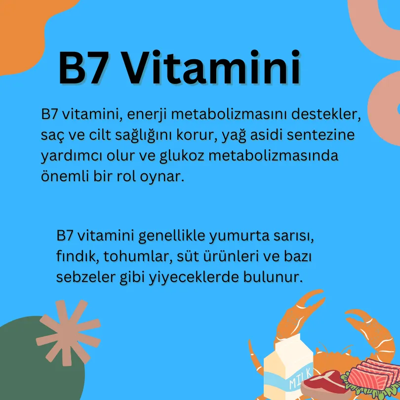 B7 Vitamini görseli