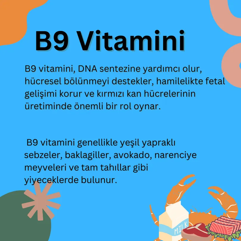 B9 Vitamini görseli