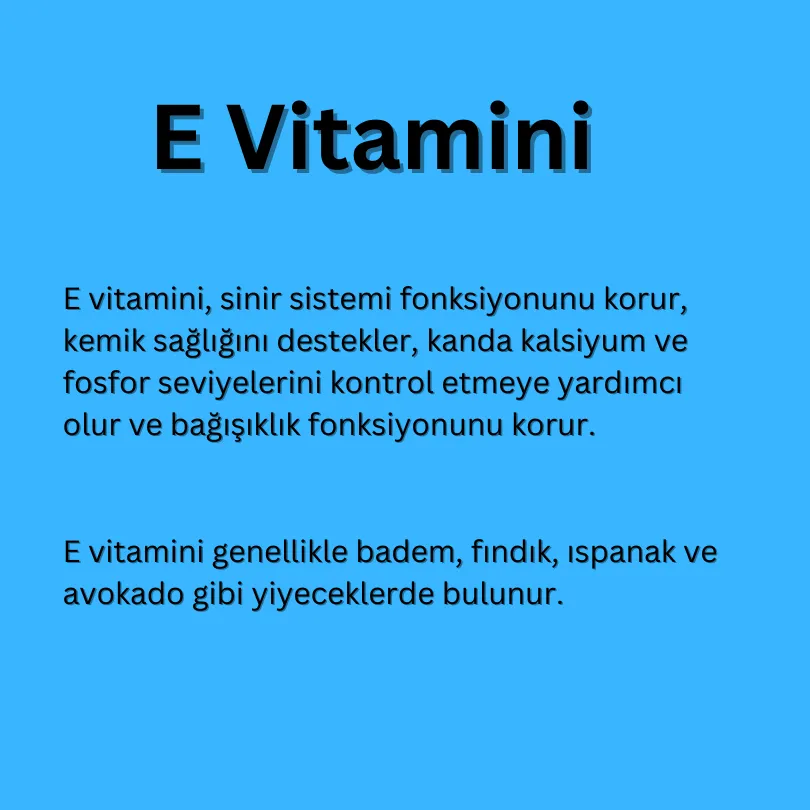 E Vitamini görseli